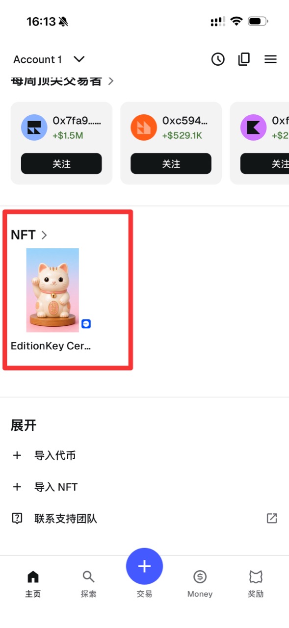 MetaMask 手機版主頁的 NFT 區域顯示已匯入的 EditionKey 證書