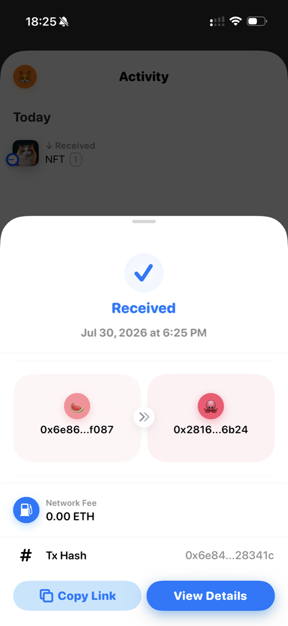 Rainbow 手機版 NFT 接收詳情，顯示錢包地址、Network Fee 及 Tx Hash